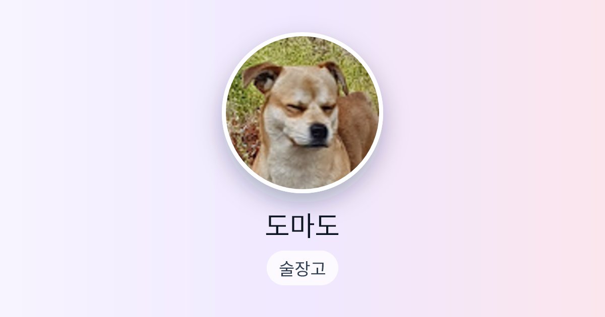 도마도님의 술장고 | 술달다